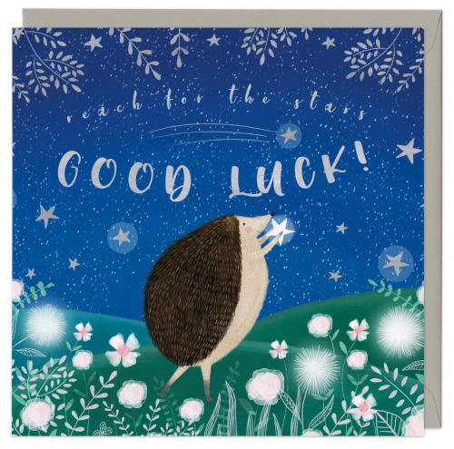 Hedgehog Good Luck Card